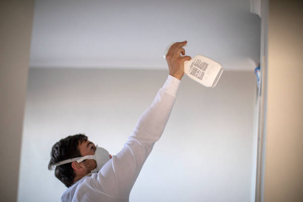 Danvers, IL Mold Removal Company