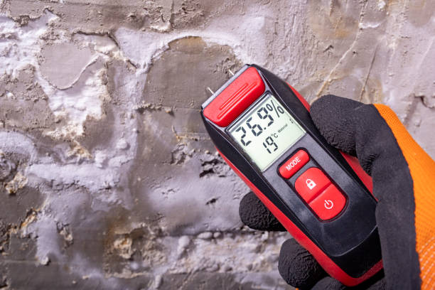 Crawl Space Mold Removal in Danvers, IL