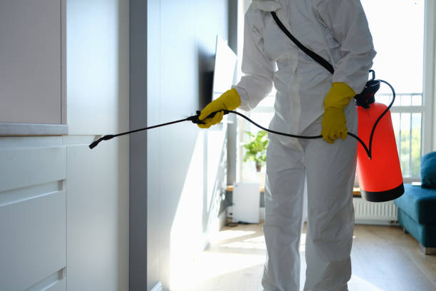 Best Emergency Mold Removal  in Danvers, IL