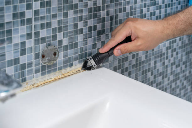 Home Mold Removal in Danvers, IL