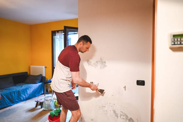 Best Toxic Mold Removal  in Danvers, IL